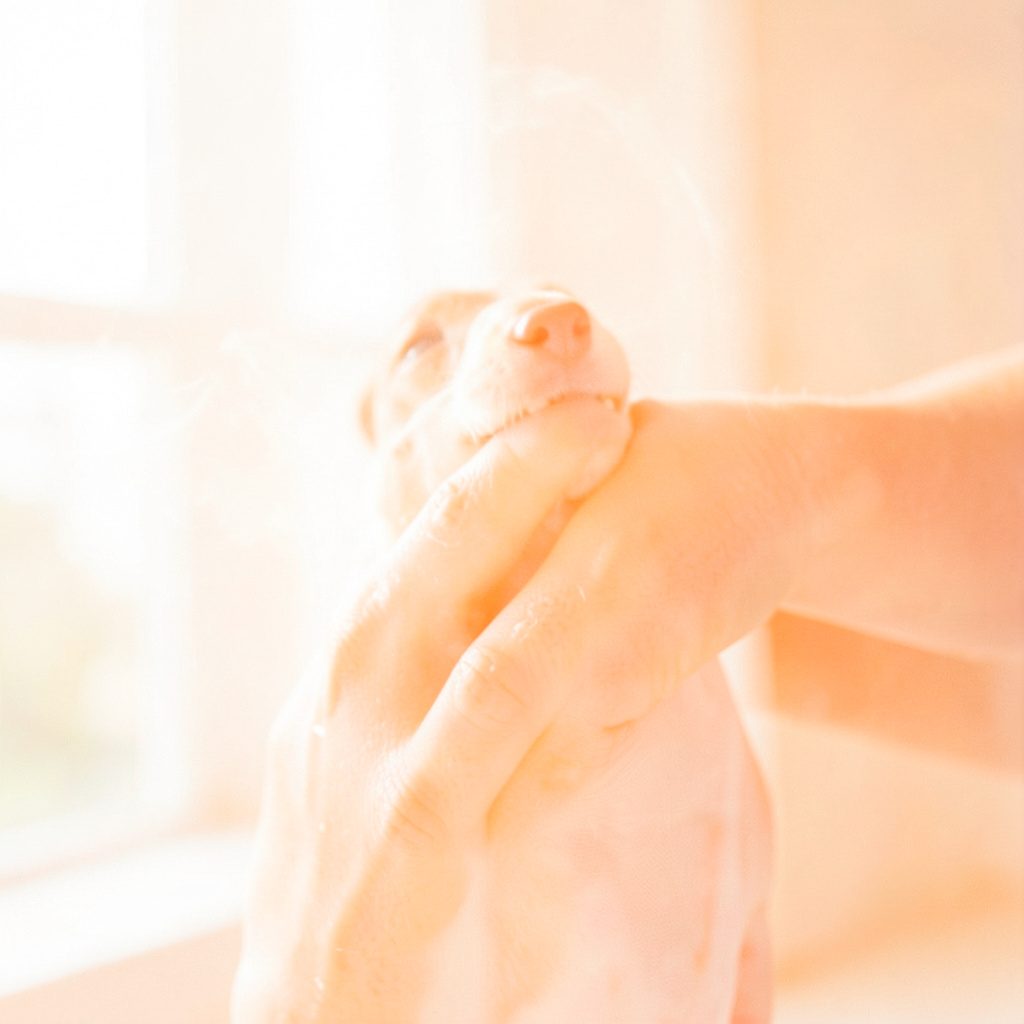Warm, sunlit music-listening scene with soft cream and terracotta tones, relaxed and inviting